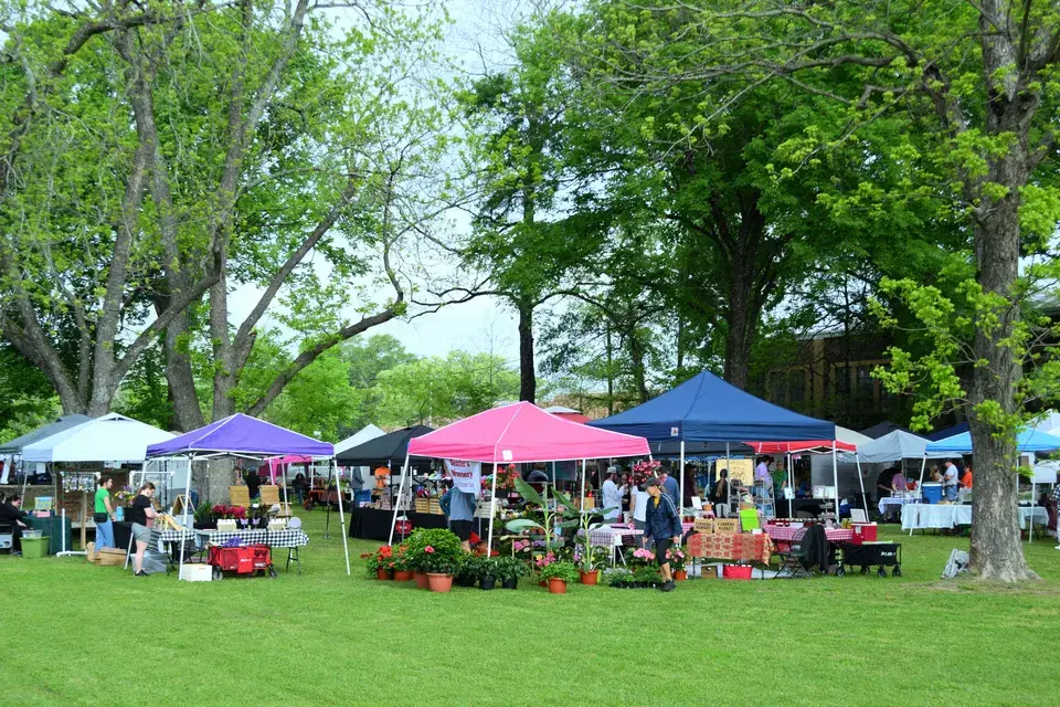 Discovering Stormstown: More Than Just a Location in Stormstown